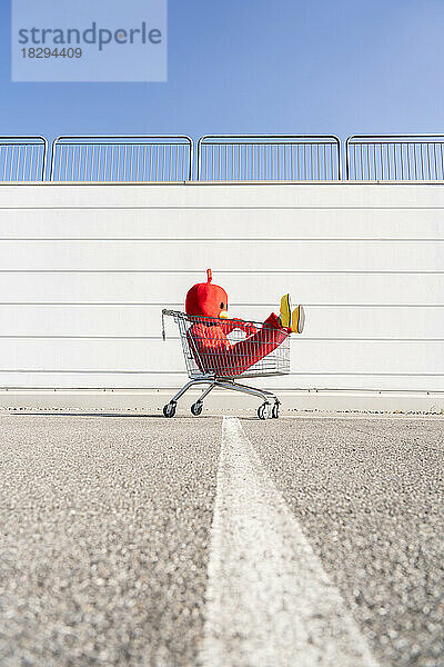 Frau im roten Entenkostüm sitzt an sonnigem Tag im Einkaufswagen