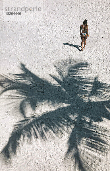 Woman walking ahead of palm tree shadow on sand at beach