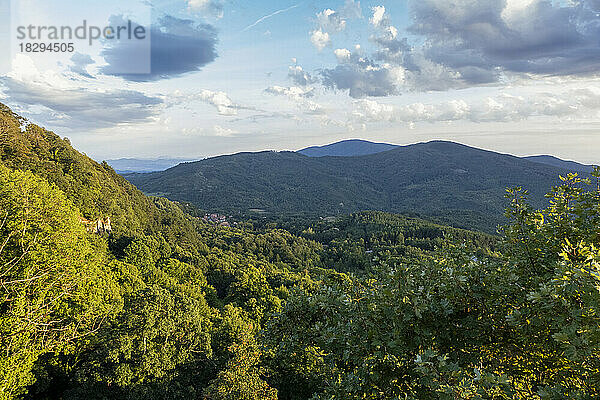 Riesige üppige grüne Landschaft unter bewölktem Himmel