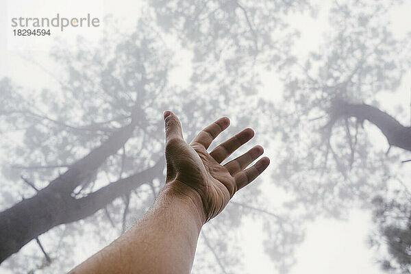 Mann erhebt die Hand unter Bäumen im nebligen Wald