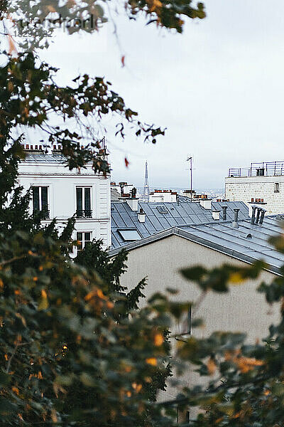 Frankreich  Ile-de-France  Paris  Dächer von Häusern im Viertel Montmartre