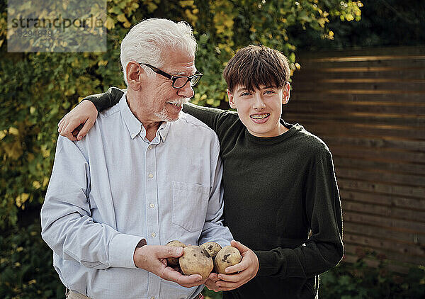 Glücklicher Großvater und Enkel stehen im Garten und halten frisch geerntete Kartoffeln in der Hand