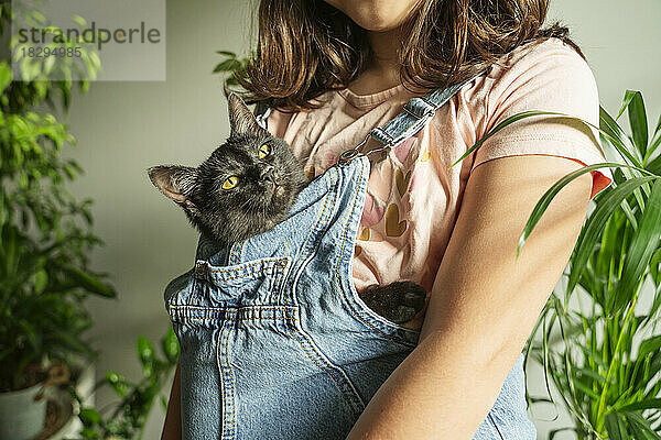 Girl with cat in pocket at home