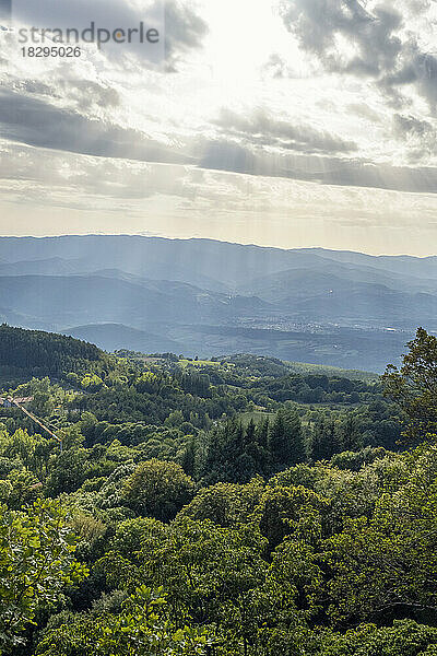 Casentino-Tal mit üppiger grüner Landschaft an bewölkten Tagen
