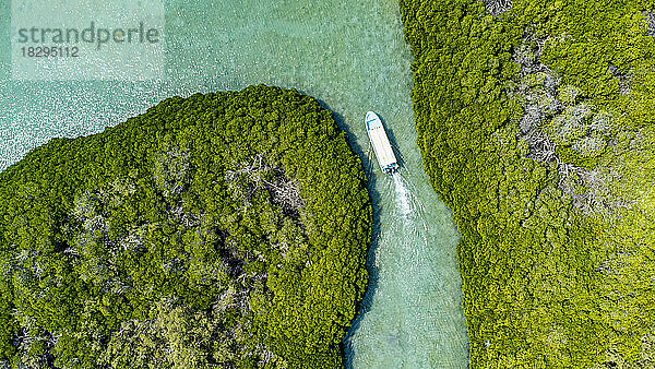 Saudi-Arabien  Provinz Jazan  Luftaufnahme eines Bootes  das durch den Mangrovenwald im Archipel der Farasan-Inseln fährt