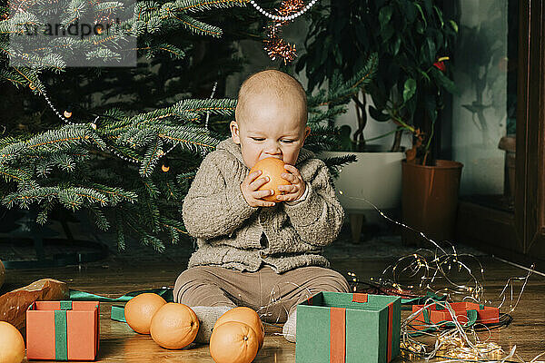 Ein kleiner Junge isst Orangenfrüchte und sitzt zu Hause vor dem Weihnachtsbaum