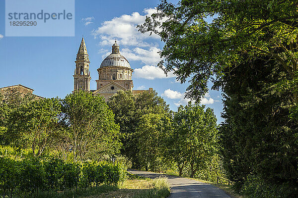 Italien  Toskana  Montepulciano  grüne Bäume umgeben den Fußweg  der zur Kirche San Biagio führt