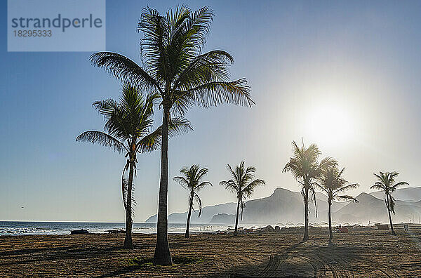 Oman  Dhofar  Salalah  Sonne scheint über Palmen am Mughsail Beach