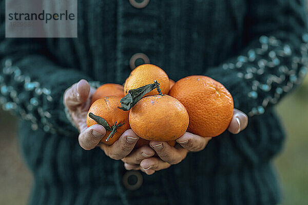 Hände einer Frau mit frischen Orangen