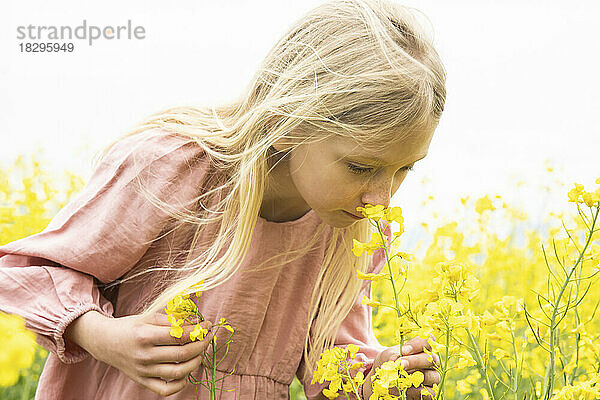 Blondes Mädchen riecht gelbe Blumen im Rapsfeld