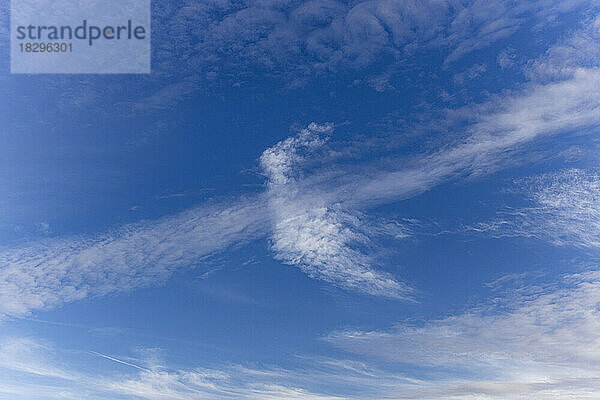 Cloud in shape of bird over blue sky