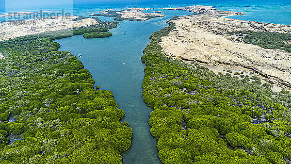 Saudi-Arabien  Provinz Jazan  Luftaufnahme des Mangrovenwaldes im Archipel der Farasan-Inseln