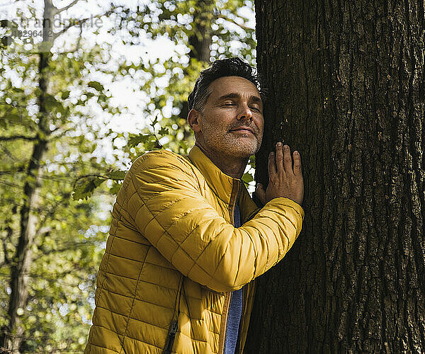 Lächelnder reifer Mann umarmt Baum im Wald