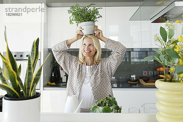Glückliche Frau balanciert Topfpflanze auf dem Kopf in der heimischen Küche