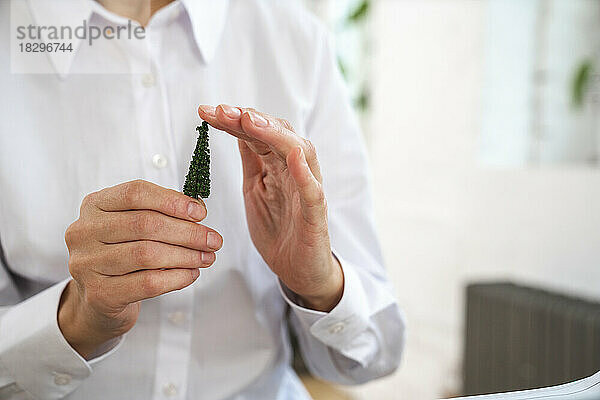 Hände einer Geschäftsfrau mit Miniaturbaum im Büro