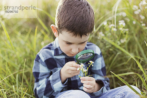 Junge mit Lupe untersucht Blumen