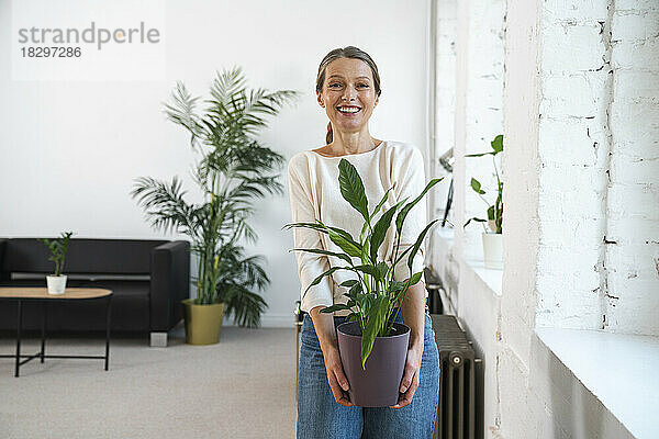 Glückliche reife Geschäftsfrau hält Topfpflanze im Büro