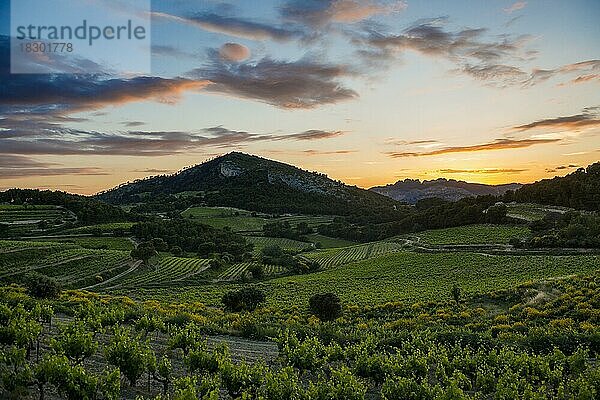 Sonnenuntergang  Dentelles de Montmirail  Département Vaucluse  Provence  Provence-Alpes-Côte dAzur  Frankreich  Europa