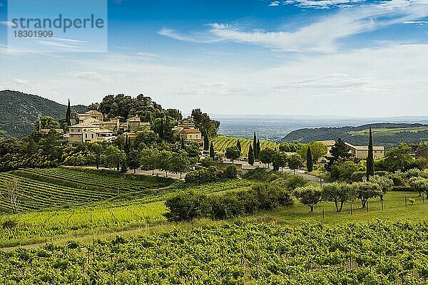 Malerisches Bergdorf und Weinberge  Suzette  Dentelles de Montmirail  Département Vaucluse  Provence  Provence-Alpes-Côte dAzur  Frankreich  Europa