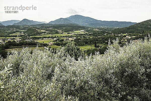 Mont Ventoux  Crestet  Département Vaucluse  Provence  Provence-Alpes-Côte dAzur  Frankreich  Europa