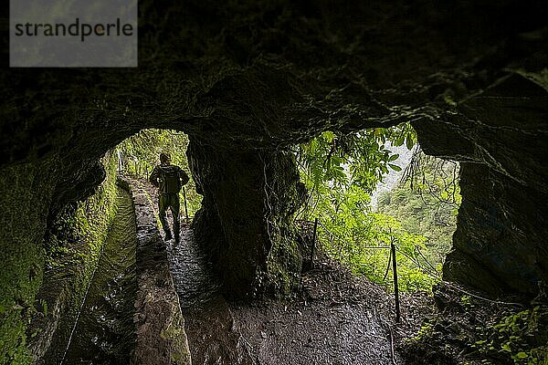 Wanderer auf einem Wanderweg entlang einer Levada durch einen Tunnel  Levada do Caldeirão Verde  Parque Florestal das Queimadas  Madeira  Portugal  Europa