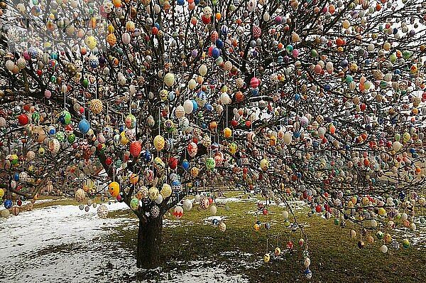 Ostereier Baum  Deutschland  Europa