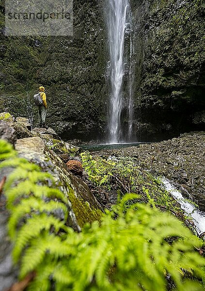 Wanderer vor Wasserfall an einer steilen Felswand  Levada do Caldeirão Verde  Parque Florestal das Queimadas  Madeira  Portugal  Europa