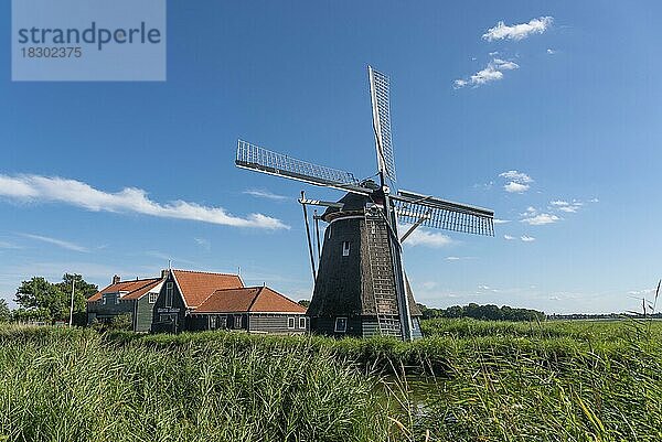 Ehemalige Getreidemühle  Windmühle De Otter  Oterleek  Nordholland  Niederlande  Europa