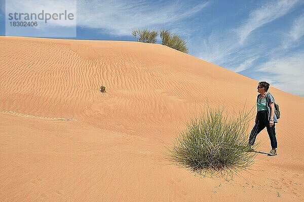 Frau in der Sandwüste bei Dubai  Vereinigten Arabischen Emirate