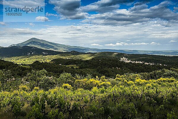 Mittelalterliches Bergdorf und Mont Ventoux  Le Barroux  Dentelles de Montmirail  Département Vaucluse  Provence  Provence-Alpes-Côte dAzur  Frankreich  Europa