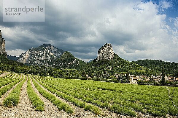 Mittelalterliches Dorf mit Lavendelfeld und Felsen  Saou  Département Drôme  Auvergne-Rhône-Alpes  Provence  Frankreich  Europa