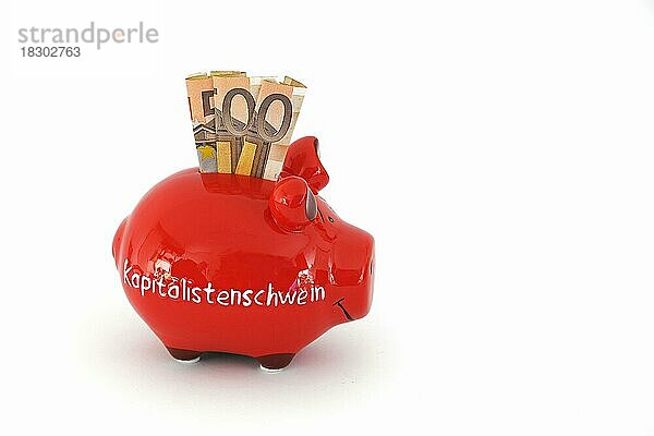 Sparschwein mit der Aufschrift Kapitalistenschwein und 50 Euro Banknoten  freigestellt  Freisteller