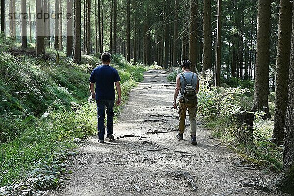Frau und Mann wandern im Darßer Wald  Mechlenburg-Vorpommern  Deutschland  Europa