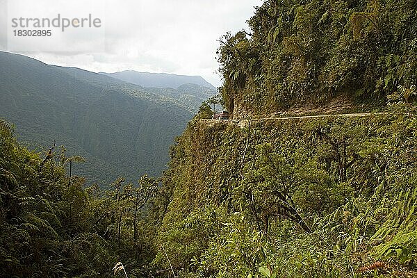 Camino a los Yungas oder Yungas-Straße  gefährlichste Straße der Welt  Region Yungas  Anden  Bolivien  Südamerika