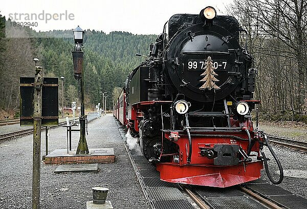 Dampflok der Harzer Schmalspurbahn  HSB  im Harz  Sachsen-Anhalt  Deuschland