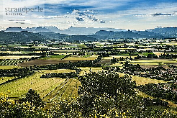 Landschaft bei Marsanne  Département Drôme  Auvergne-Rhône-Alpes  Provence  Frankreich  Europa