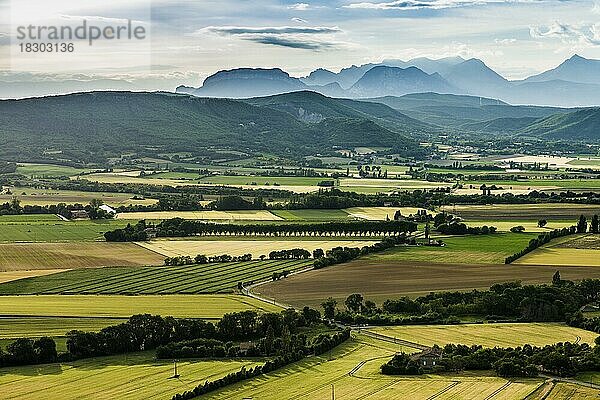 Landschaft bei Marsanne  Département Drôme  Auvergne-Rhône-Alpes  Provence  Frankreich  Europa