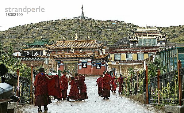 Mönche im Tseway Kloster  Ganjia  Provinz Gansu  China  Asien
