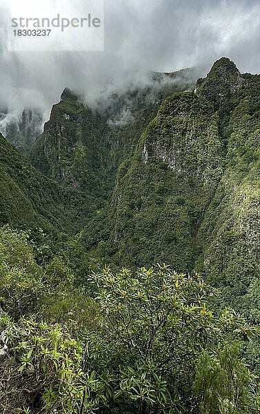 Ausblick auf steile bewaldete wolkenverhangene Berge  Levada do Caldeirão Verde  Parque Florestal das Queimadas  Madeira  Portugal  Europa