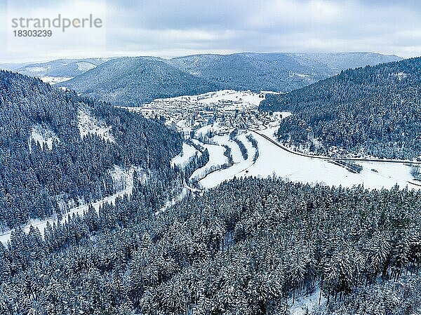 Wald und Berge im Winter bei Schnee  Schwarzwald  Deutschland  Europa