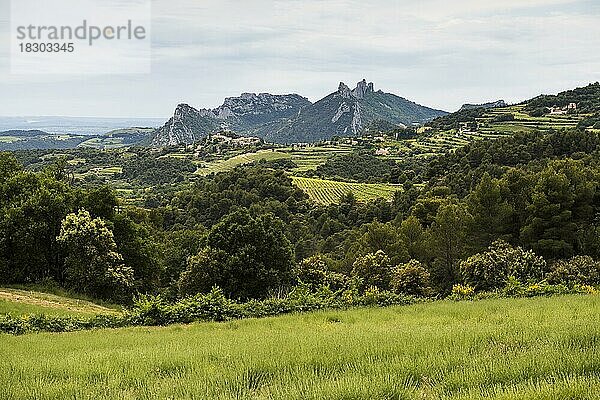 Malerisches Bergdorf und Weinberge  Suzette  Dentelles de Montmirail  Département Vaucluse  Provence  Provence-Alpes-Côte dAzur  Frankreich  Europa