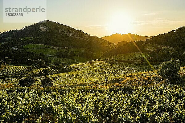 Sonnenuntergang  Dentelles de Montmirail  Département Vaucluse  Provence  Provence-Alpes-Côte dAzur  Frankreich  Europa