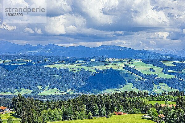Malerische Landschaft und ländliche Gegend im Westallgäu um den Ort Scheidegg nahe Lindau  Bayern  Deutschland  Europa