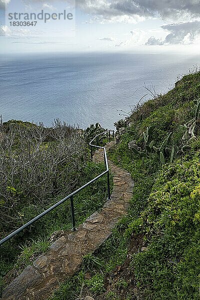 Weg am Miradouro da Raposeira  Steilklippen  Küste und Meer  Paul do Mar  Madeira  Portugal  Europa