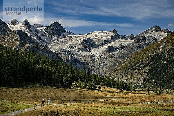Val Rosegg mit zwei Spaziergängern und Bernina Gruppe  St Moritz  Engadin  Graubünden  Schweiz  Europa