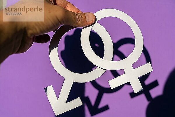 Ein Männchen hält das männliche und weibliche Symbol auf einem lila Hintergrund  die Gleichstellung der Geschlechter und den Kampf für die Rechte und Gleichstellung der Frauen