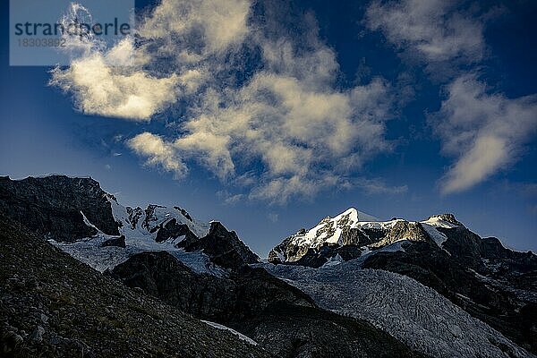 Piz Rosegg mit Rosegg Gletscher bei blauer Stunde  St Moritz  Engadin  Graubünden  Schweiz  Europa
