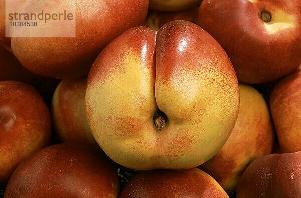 Nektarinen  eine Mutation des Pfirsich