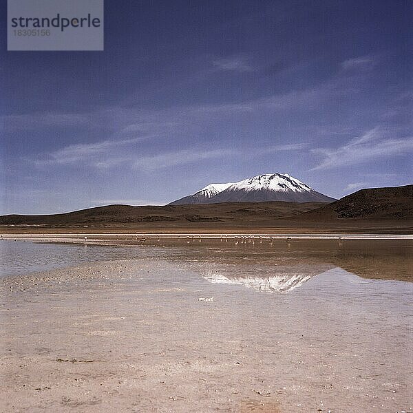 Atacama Wüste Bolivien Hochebene Flamingo Lagune Berge