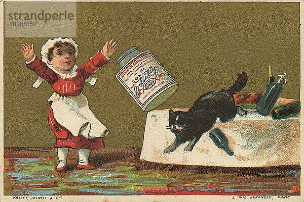 Serie Genrebilder 3 (1873 bis 1878) (Paris) Die Katze hat ein Liebig Glas vom Tisch geworfen  ein Mädchen ist darüber erschrocken  schwarzer Kater spring vom Tisch  Liebigbild  historisch  digital restaurierte Reproduktion eines Sammelbildes von ca 1900